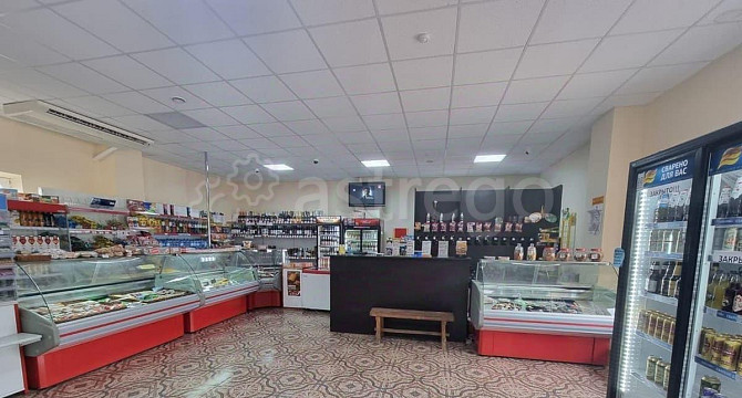 Торговое помещение, 161 м2 Разумное - изображение 5