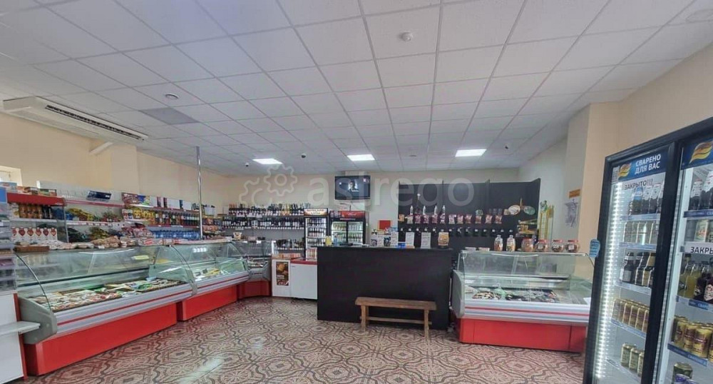 Торговое помещение, 161 м2 Разумное - изображение 5