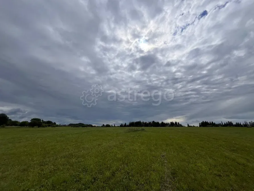 Продам участок, Фермерский, 30000 сот. Пермь - изображение 2