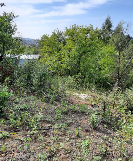 Участок, Садовый, 4.44 сот. Нижний Новгород - изображение 1