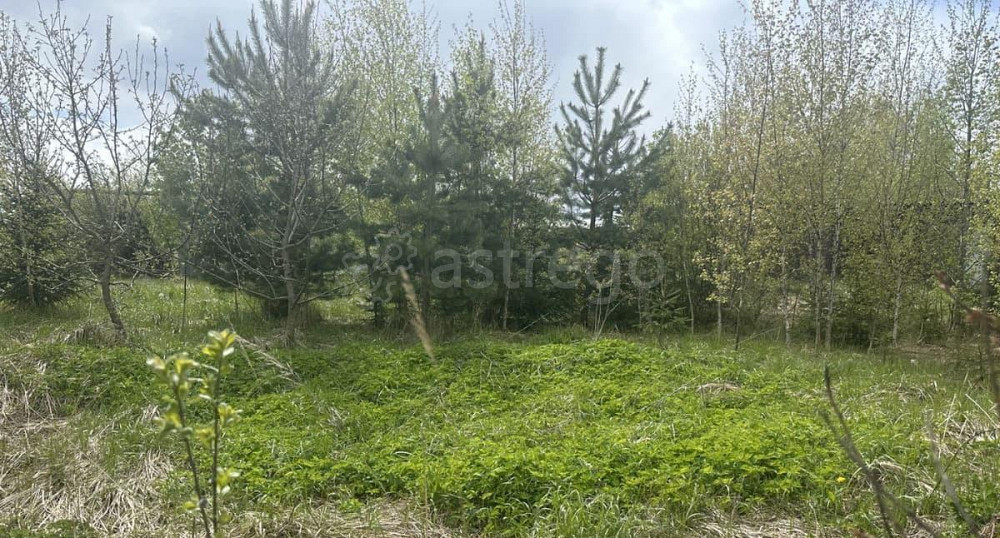 Земельный участок, 9 соток Истра - изображение 3