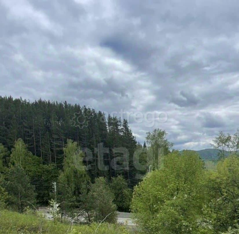 Земельный участок, 33.8 га Красноярск - изображение 7