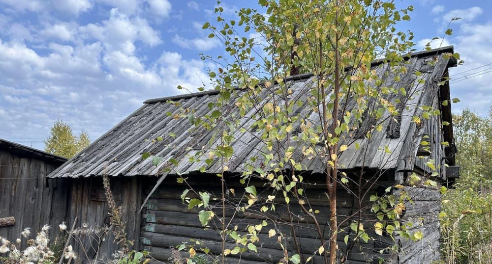 Дом, 50.2 м2, 7.41 сотки, 1 эт. Няндома - изображение 3