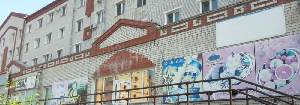 Свободного назначения, 440 м2 Благовещенск - изображение 2