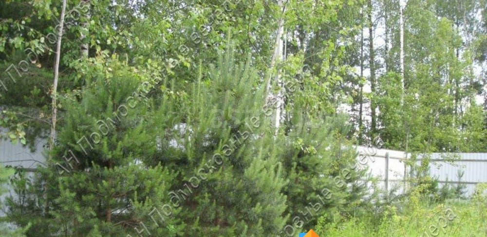 Земельный участок, 12.73 сотки Кубинка - изображение 5