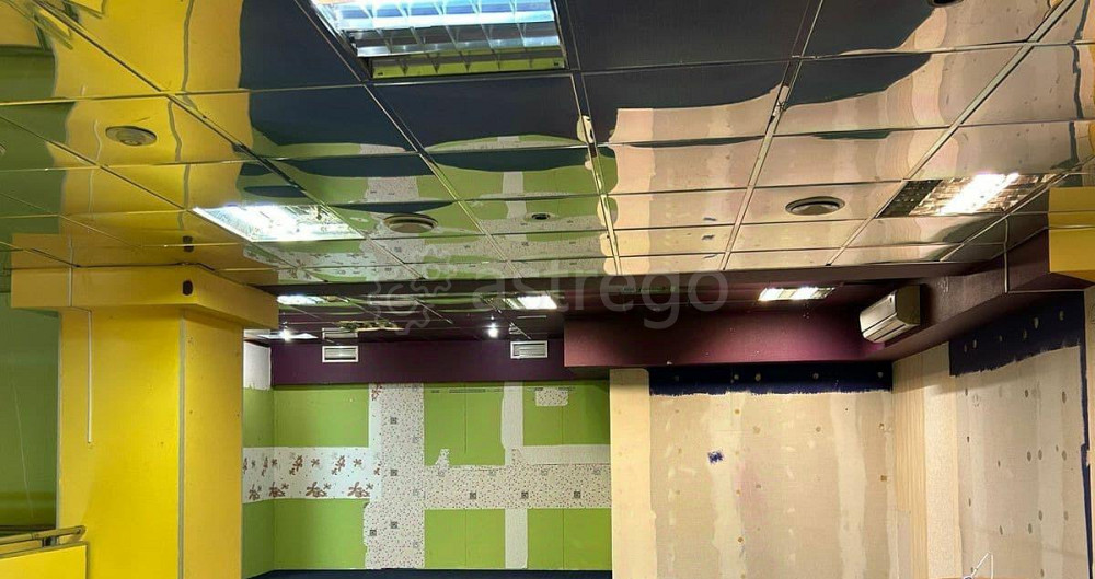 Торговое помещение, 300 м2 Санкт-Петербург - изображение 6