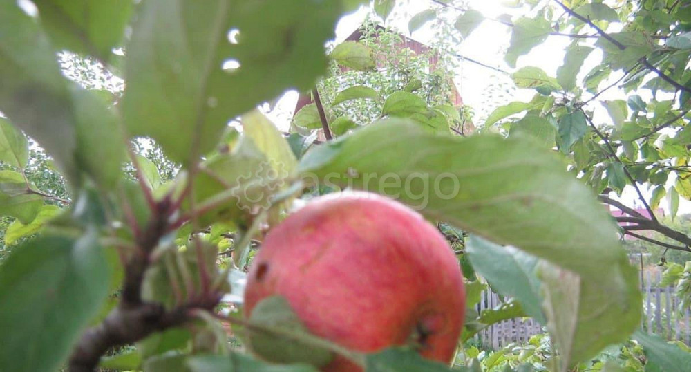 Земельный участок, 4.55 сотки Уфа - изображение 4