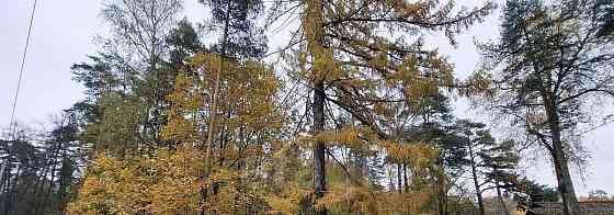 Земельный участок, 16.76 сотки Королев