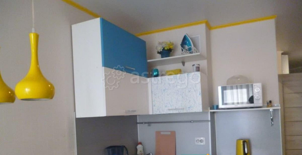 Студия, 28 м2, 4/16 эт. Барнаул - изображение 5