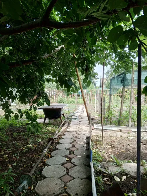 Продам дачу, 16 м2, Садовый участок 4.3 сот. Волгодонск - изображение 3