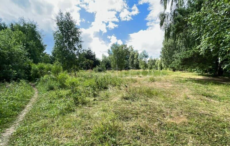 Земля под ИЖС, 21 сотка Руза - изображение 10