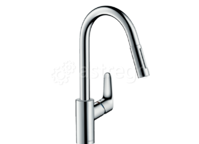 Смеситель для кухни Hansgrohe, Focus M41, тип открывания воды - однорычажный 31815670 Москва - изображение 1