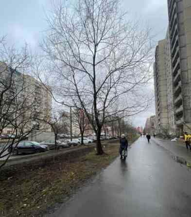 2-комн. квартира, 55 м2, 11/16 эт. Санкт-Петербург