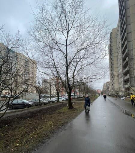 2-комн. квартира, 55 м2, 11/16 эт. Санкт-Петербург - изображение 5