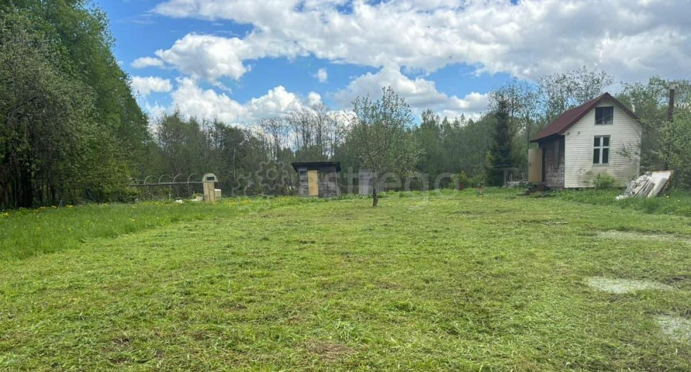 Дом, 24 м2, 15 соток, 1 эт. Шаховская - изображение 1