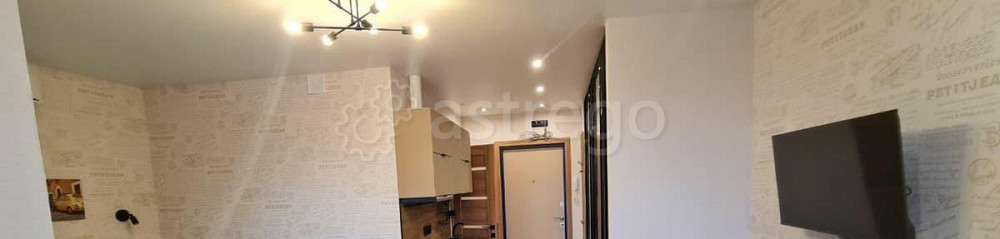 Студия, 28 м2, 20/24 эт. Москва - изображение 6