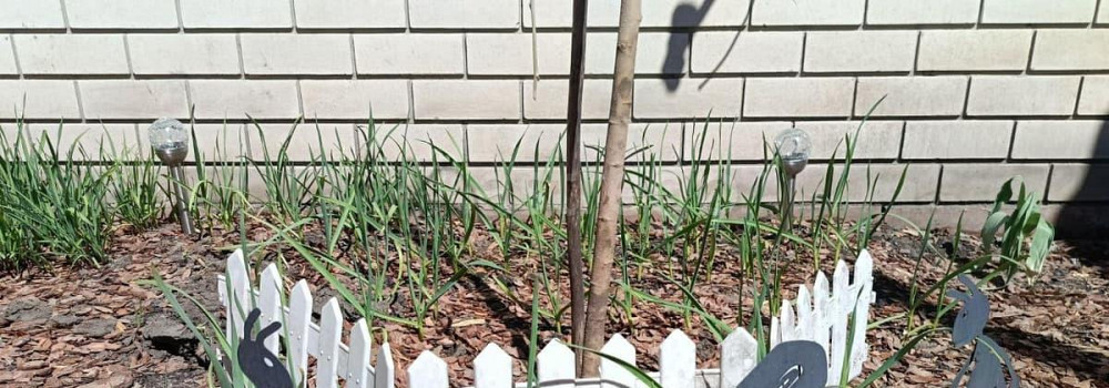 Дом, 42 м2, 1.5 сотки, 1 эт. Барнаул - изображение 1