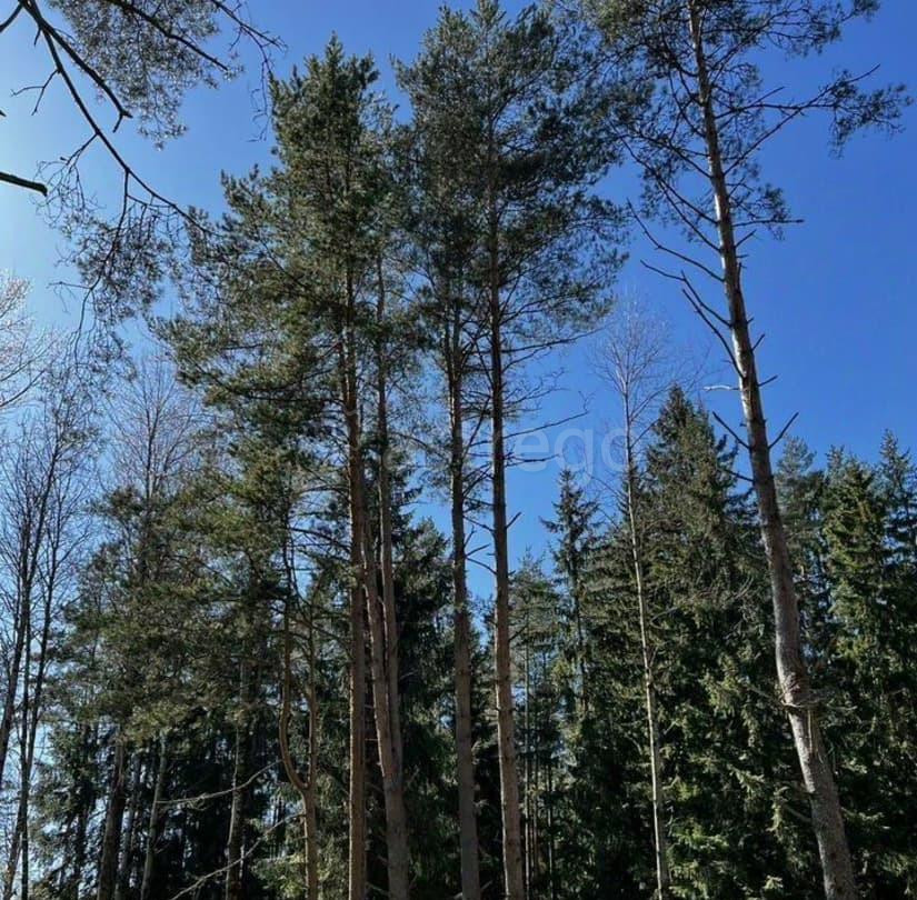 Земельный участок, 13 соток Санкт-Петербург - изображение 4