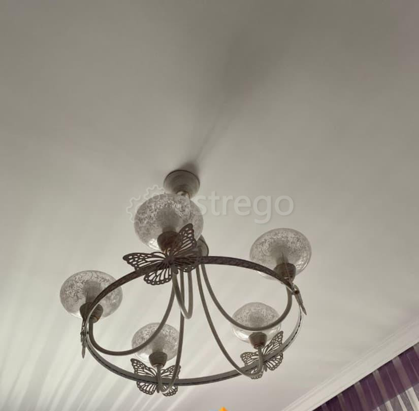 Коттедж, 220 м2, 11 соток, 2 эт. Рубцовск - изображение 2