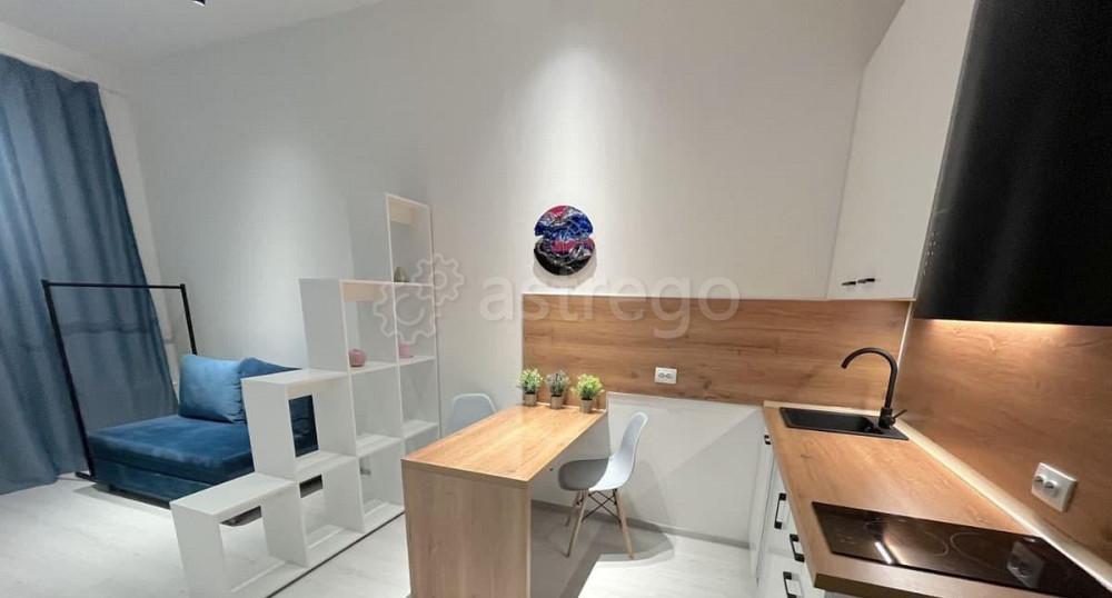 Студия, 23.5 м2, 5/5 эт. Санкт-Петербург - изображение 3