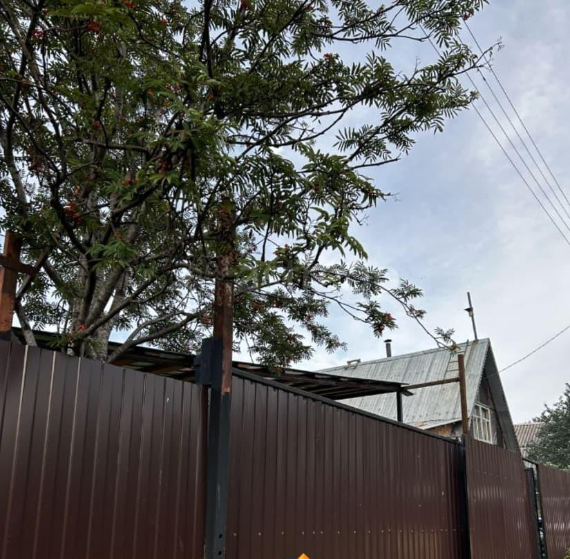 Дом, 26 м2, 12 соток, 2 эт. Березовка - изображение 2