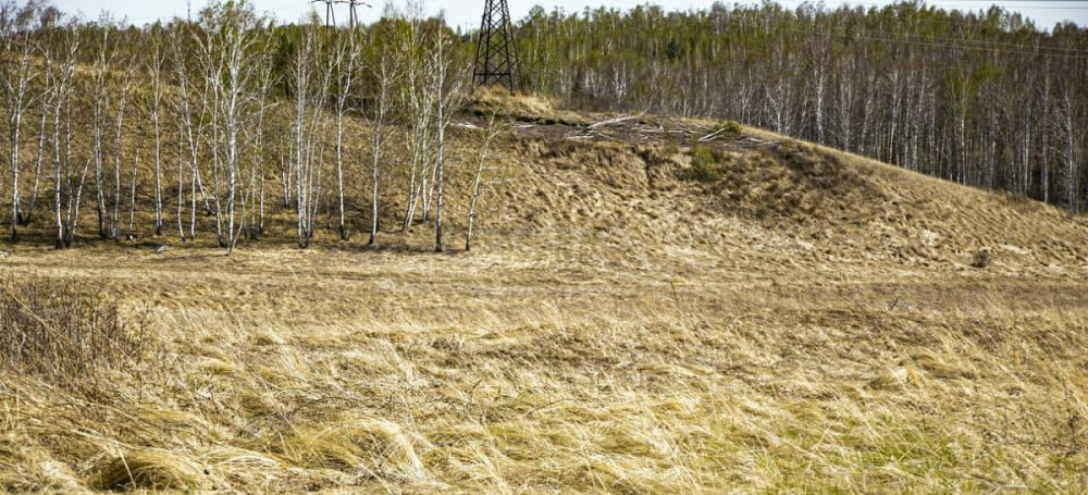 Земельный участок, 15 соток Красноярск - изображение 5