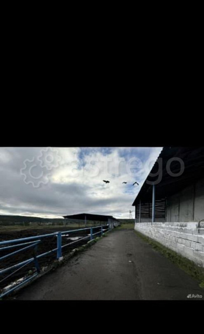 Склад, 1500 м2 Емельяново - изображение 5