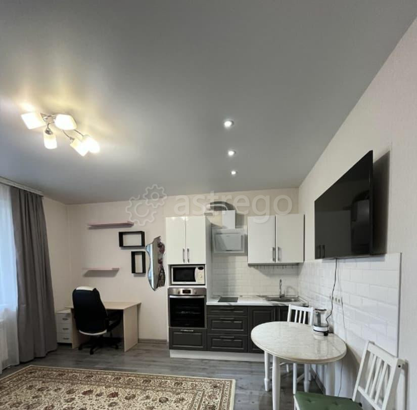 Студия, 29 м2, 4/17 эт. Барнаул - изображение 7