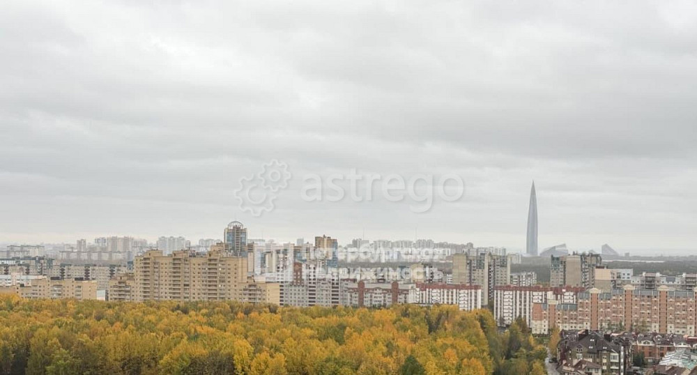 1-комн. квартира, 41.5 м2, 18/19 эт. Санкт-Петербург - изображение 2