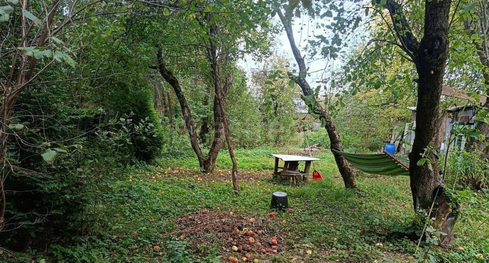 Дом, 50 м2, 8.16 сотки, 1 эт. Королев - изображение 6