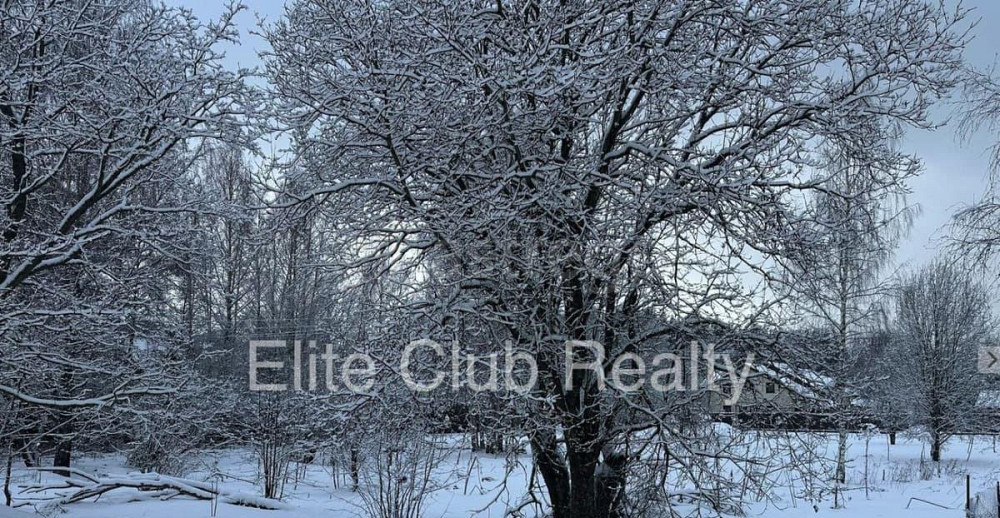 Земельный участок, 25 соток Санкт-Петербург - изображение 4