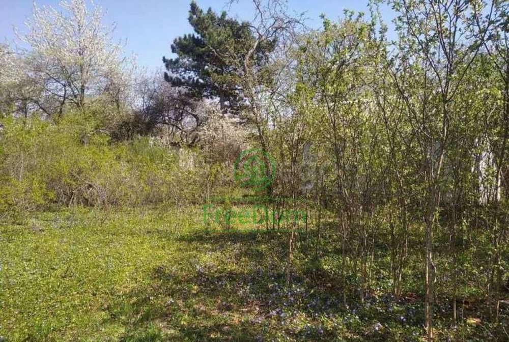 Дача, 15 м2, 5 соток, 1 эт. Северный - изображение 3