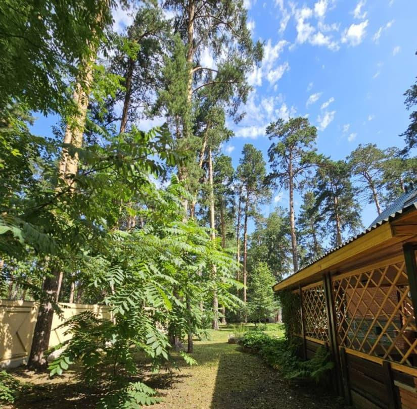 Коттедж, 389.7 м2, 17.2 сотки Барнаул - изображение 7