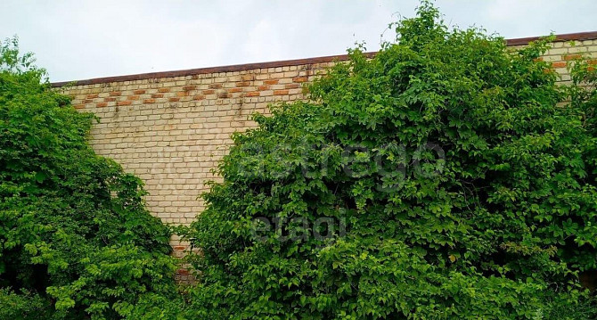 Торговое помещение, 484 м2 Валуйки - изображение 4