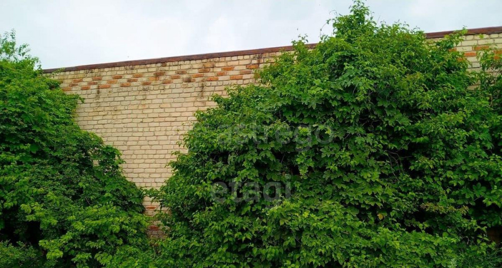 Торговое помещение, 484 м2 Валуйки - изображение 4