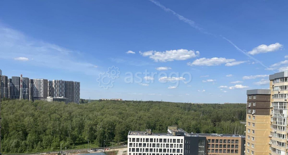 4-комн. квартира, 161.4 м2, 13/25 эт. Одинцово - изображение 5