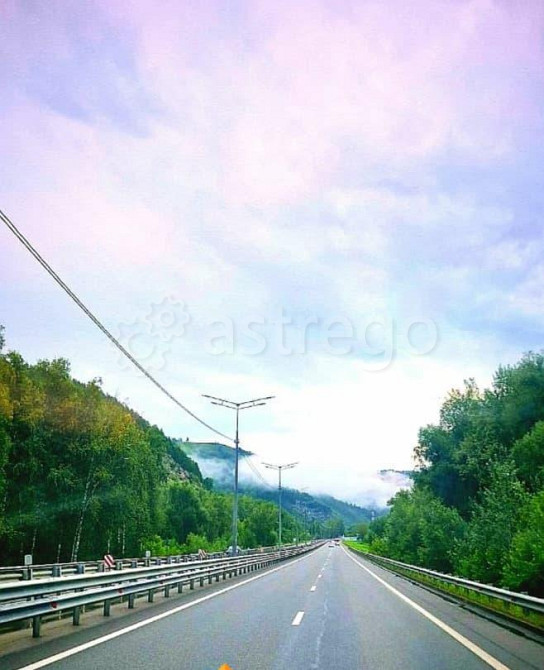 Земельный участок, 1 га Алтайское - изображение 3