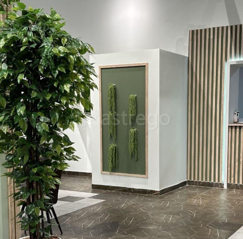 Свободного назначения, 435 м2 Красноярск - изображение 4