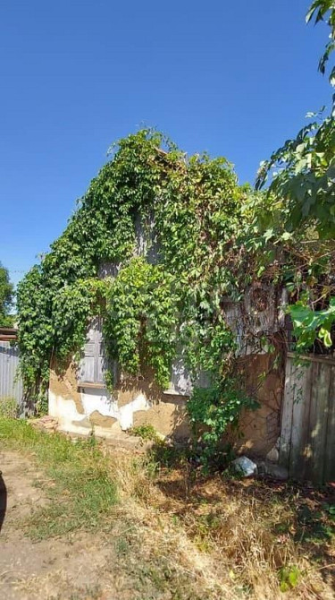 Дом, 32.4 м, 5.3 сотки, 1 эт. Майкоп - изображение 8