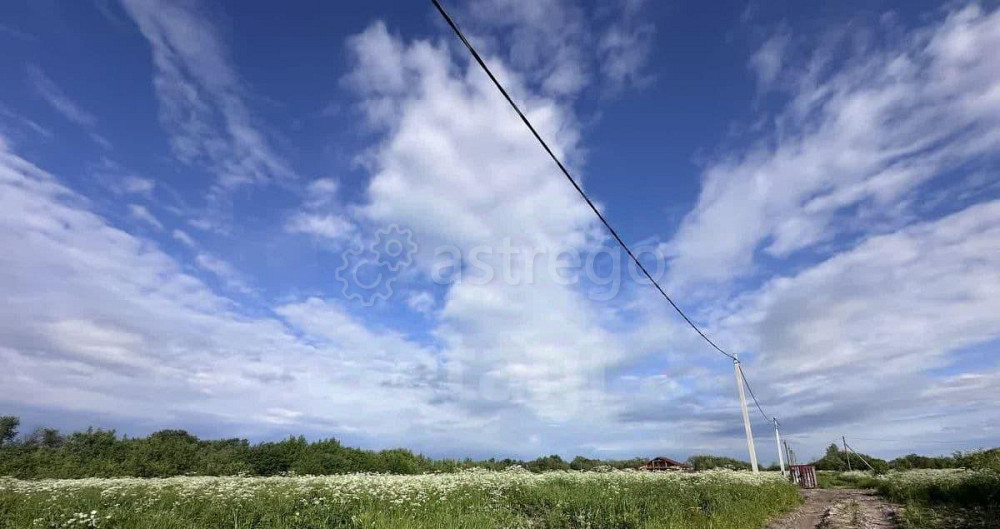 Земельный участок, 25.5 сотки Архангельск - изображение 4