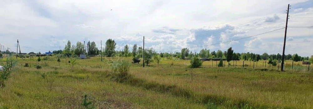 Земельный участок, 10 соток Березовка - изображение 2