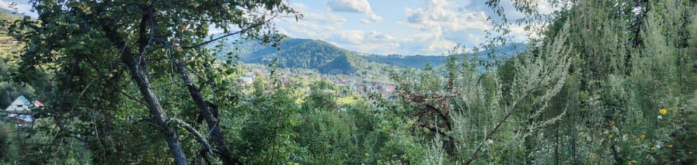 Земельный участок, 10 соток Горно-Алтайск - изображение 3