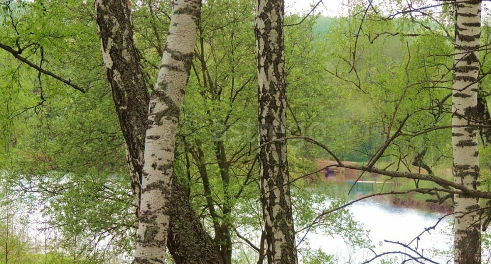 Земельный участок, 9 соток Павловский Посад - изображение 6