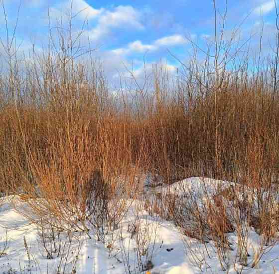 Земельный участок, 14.51 сотки Электрогорск
