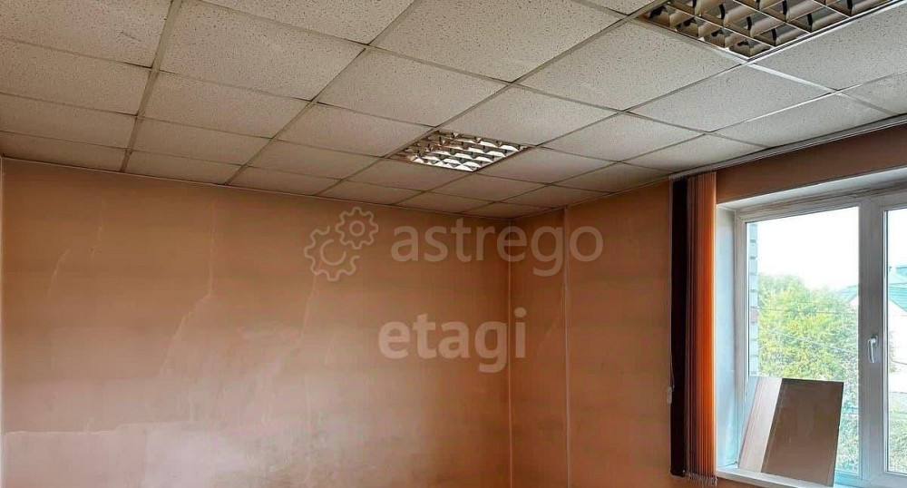 Торговое помещение, 458.3 м2 Благовещенск - изображение 3