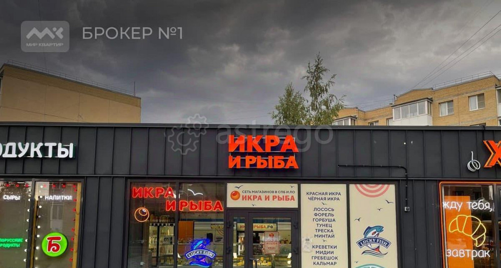 Торговое помещение, 205 м2 Санкт-Петербург - изображение 2