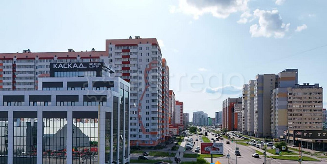 Офис, 37.69 м2 Барнаул - изображение 5