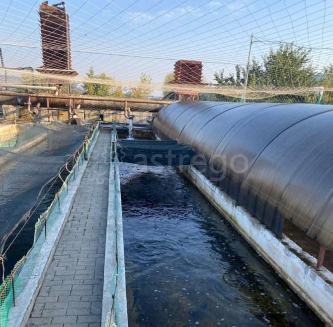 Производственное, 4554 м2 Белгород - изображение 7