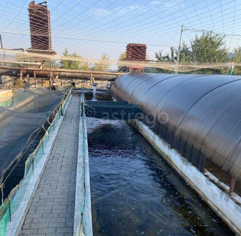 Производственное, 4554 м2 Белгород - изображение 7