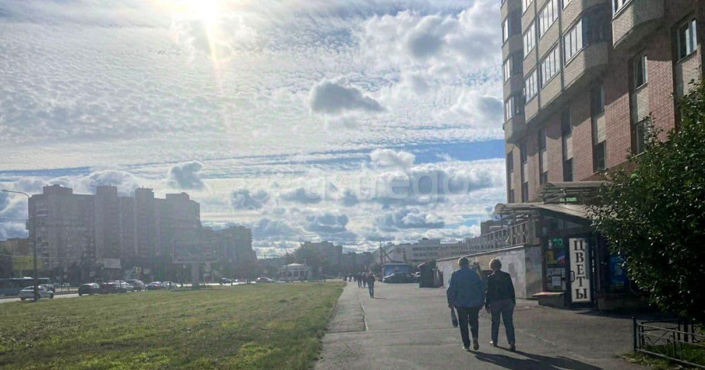 Свободного назначения, 283 м2 Санкт-Петербург - изображение 7